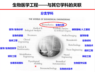 龙3