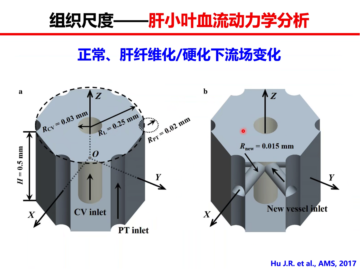 龙4